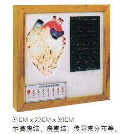 點(diǎn)擊瀏覽下一頁