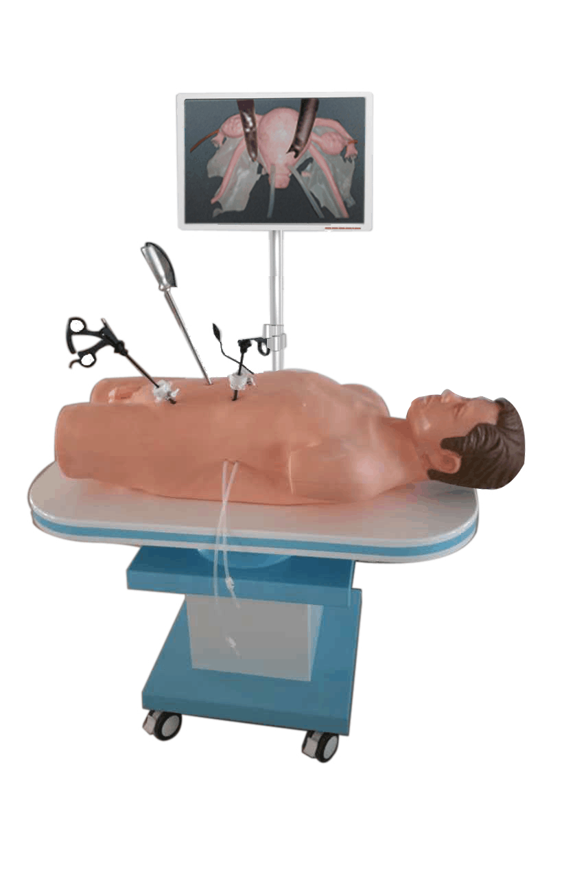 腹腔鏡手術技能訓練人體模型