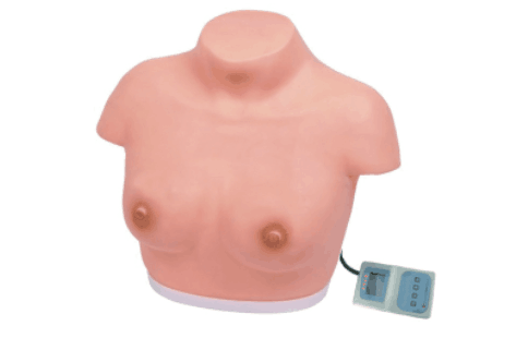 高級(jí)乳房視診與觸診模型（電子監(jiān)測(cè)）