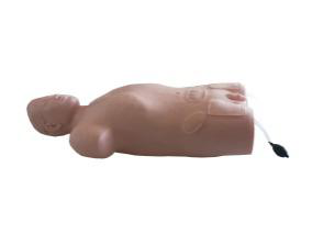 腹腔與股靜脈穿刺模型