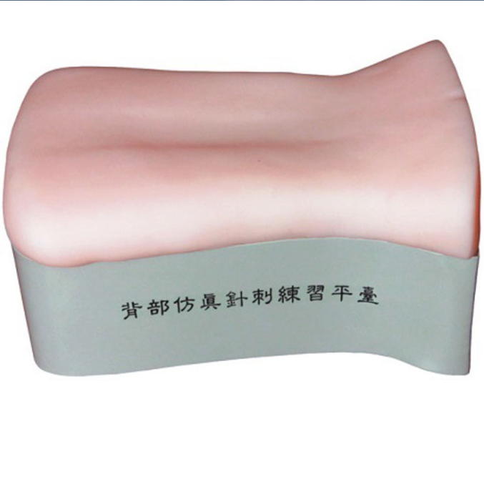 背部仿真針刺練習(xí)平臺(tái)YR/ZC-B