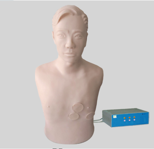  肝膿腫穿刺與胸腔穿刺電子標(biāo)準(zhǔn)化病人電動模型