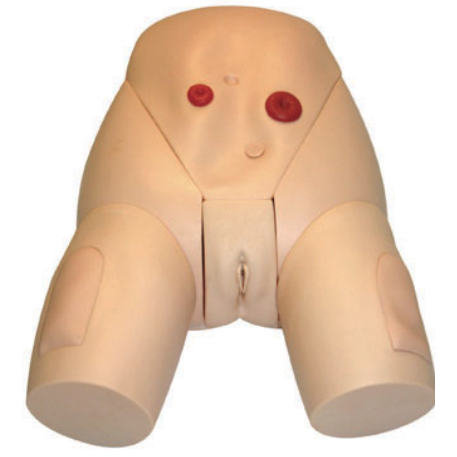 高級女性導(dǎo)尿模型YR-H70/3