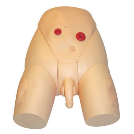 高級男性導(dǎo)尿模型YR-H70/2