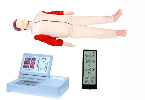 高級全自動電腦心肺復蘇模擬人