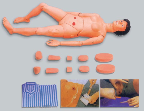 高級全功能護理人訓(xùn)練模型（女性）