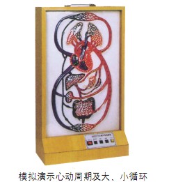 大、小循環(huán)電動模型